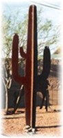 garden cactus
